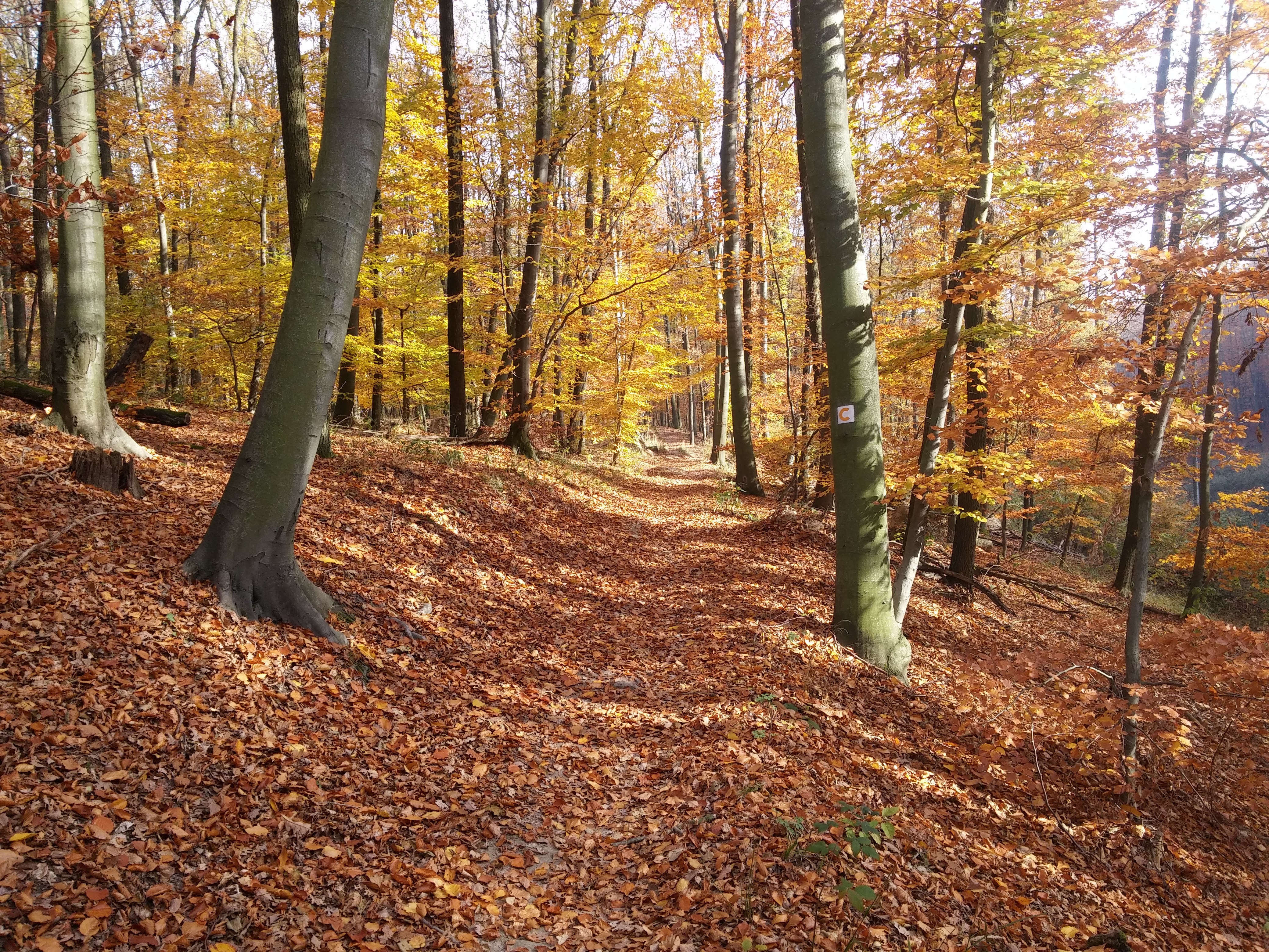 20151106_124038